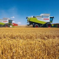 В Новосибирской области обмолочено более 2 млн тонн зерна