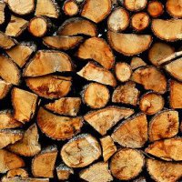Жители Новосибирской области полностью обеспечены древесиной для отапливания
