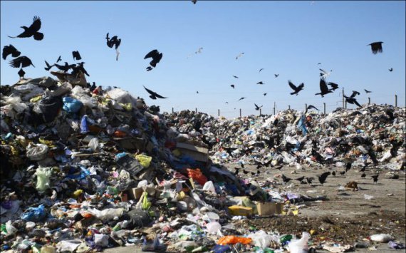 Травников рассказал о борьбе за расторжение мусорной концессии‍