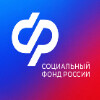 Социальный фонд России (СФР)