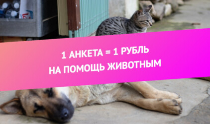 Красота спасет животных 
