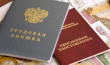Глава Минпромторга Новосибирской области раскритиковал пенсионную реформу