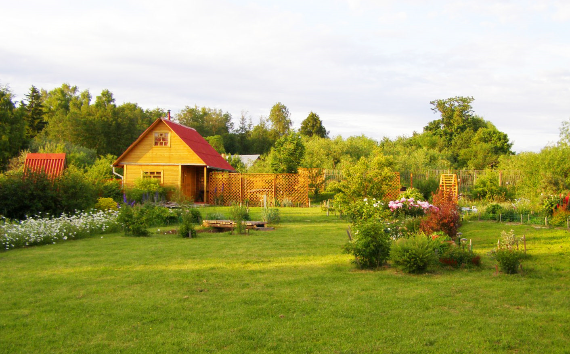 На что нужно обратить внимание при покупке дачи?