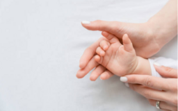 За 9 месяцев 2025 года общие сборы КАПИТАЛ LIFE выросли на 10% и составили 20,2 млрд рублей