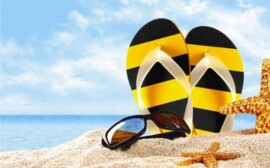 «Билайн» запускает новые тарифы без внутрисетевого роуминга