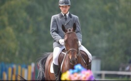 Турнир на Кубок КК «Аллюр» по классическим видам конного спорта – конкуру и выездке