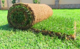 «Горгазон» предлагает рулонный газон под ключ