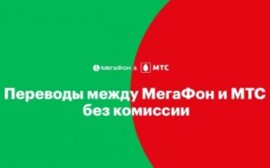 Удобнее, чем в банке: «МегаФон» и МТС отменяют комиссию за денежные переводы между своими абонентами