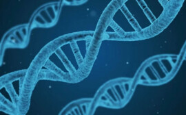 Российский генетический стартап ООО «Базис Генотех» меняет брендовое название на Basis Genomic Group