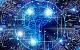 Билайн Бизнес запустил биржу каналов связи