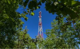 Дачникам и сельчанам: МегаФон ускорил интернет в районе Чуйского тракта