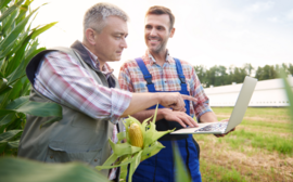 Новосибирцы активно делают свои дачи «умными»
