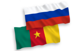 Россия и Камерун развивают энергодиалог