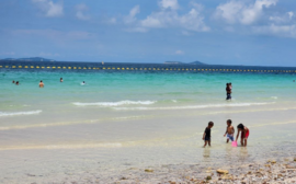 Новосибирцы стремятся путешествовать после укрепления рубля