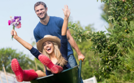 Треть россиян проведут майские на даче — исследование