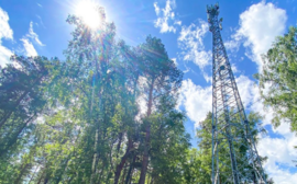 МегаФон впервые запустил 4G в сёлах Мураши и Победа