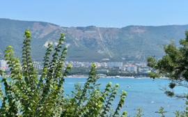 Трафик на сайте аэропорта Геленджика обнулили для новосибирцев