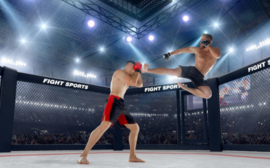 Казахстанские бойцы в ONE Championship — кто из них готов к титулу?