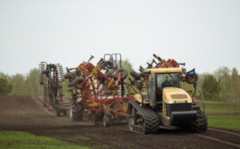 Новосибирская область получит на поддержку фермеров 130 млн рублей