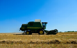 В Новосибирской области создадут Центр по поддержке фермеров