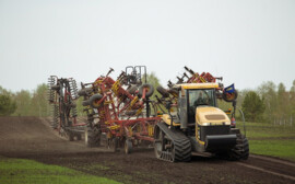В Новосибирской области на 98% закончили посевную