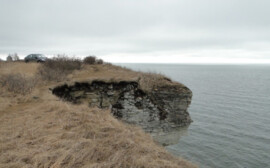 Бердск потратит на проект берегоукрепления 5,5 млн рублей