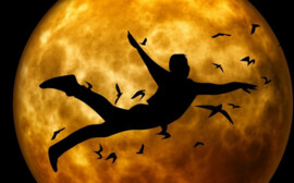 В Новосибирске появится уникальная для страны башня для экспериментов с невесомостью