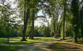 В новом парке в Черепаново появились детские и спортивные площадки