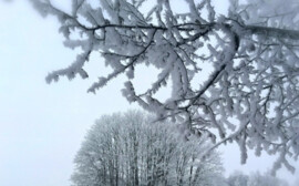 В Новосибирске будут по-новому бороться с гололёдом
