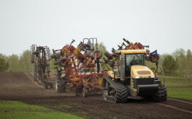 В Новосибирской области новые направления АПК получат господдержку
