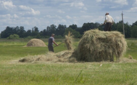 Травников рассказал Медведеву о развитии сел в Новосибирской области