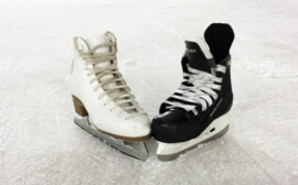 В Новосибирске второй этап строительства ледовой арены оценили в 3,5 млрд рублей