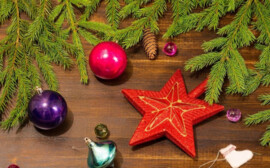 Мэр Новосибирска призвал сократить новогодние каникулы