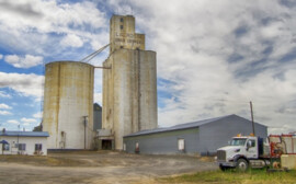 Инвесторы вложат 1,2 млрд руб. в реконструкцию Купинского элеватора