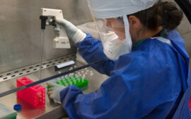 Власти Новосибирска выделят 6 млн рублей на гранты молодым ученым