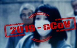 Травников нашел плюсы в профилактике коронавируса в НСО