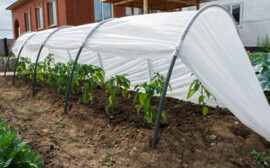 Локоть пообещал не отдавать под застройку садовые общества Новосибирска