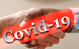 Главный инфекционист Новосибирской области ожидает прироста заболевших COVID-19 на следующей неделе