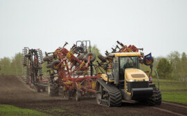 Травников: Инвестпроекты стали драйвером развития отрасли АПК в Новосибирской области