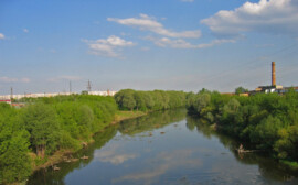В мэрии Новосибирска назвали причину гибели рыбы в реке Тула