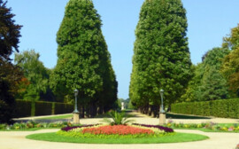 В Новосибирске на озеленение потратят 2,2 млрд рублей