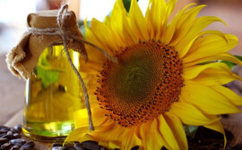 В Новосибирске продукты подорожали после заявления Путина о заморозке цен