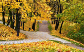 В Новосибирской области на благоустройство направят 1,2 млрд рублей