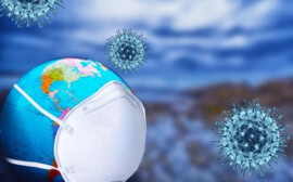 В Новосибирске запустили производство вакцины от коронавируса