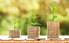 В Новосибирской области объем депозитов вырос на 5,9%