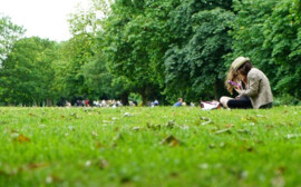 В Новосибирске парк около ледовой арены постоят за 433 млн рублей