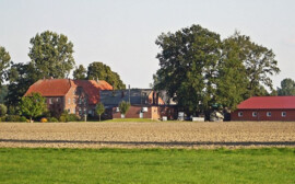 «Сибагро» втрое нарастило инвестиции на растениеводство в Новосибирской области