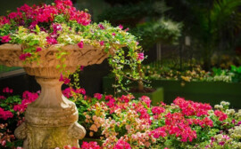 В Новосибирске появится первый в РФ "парк на болоте"