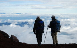 Лучшие направления для экотуризма