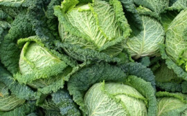 В Новосибирске капуста за месяц дорожала на 41%